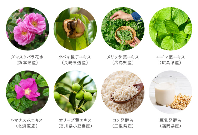 16種類の国産植物成分配合