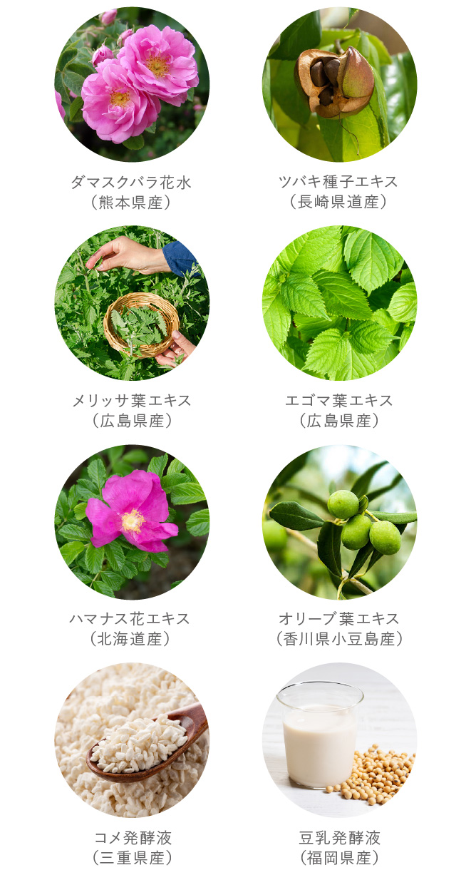 16種類の国産植物成分配合