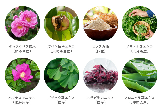 12種類の国産植物成分配合