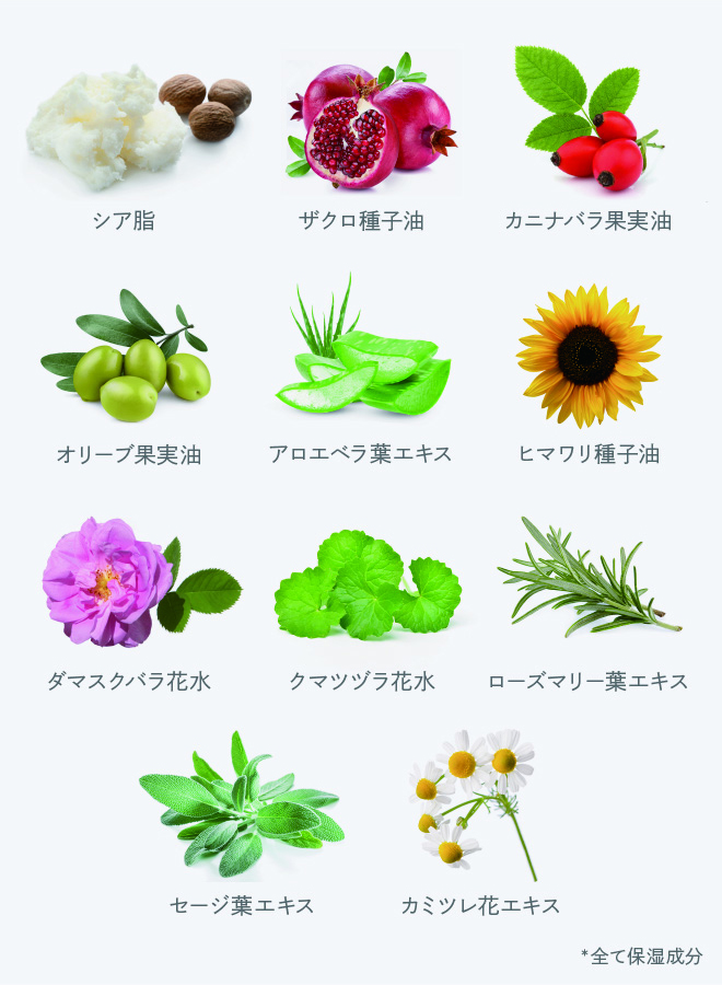 11種のオーガニック植物原料