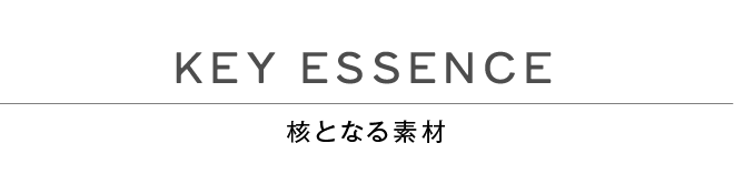 Key Essence