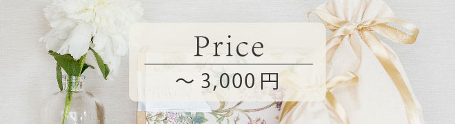 ギフトセット ～3,000円